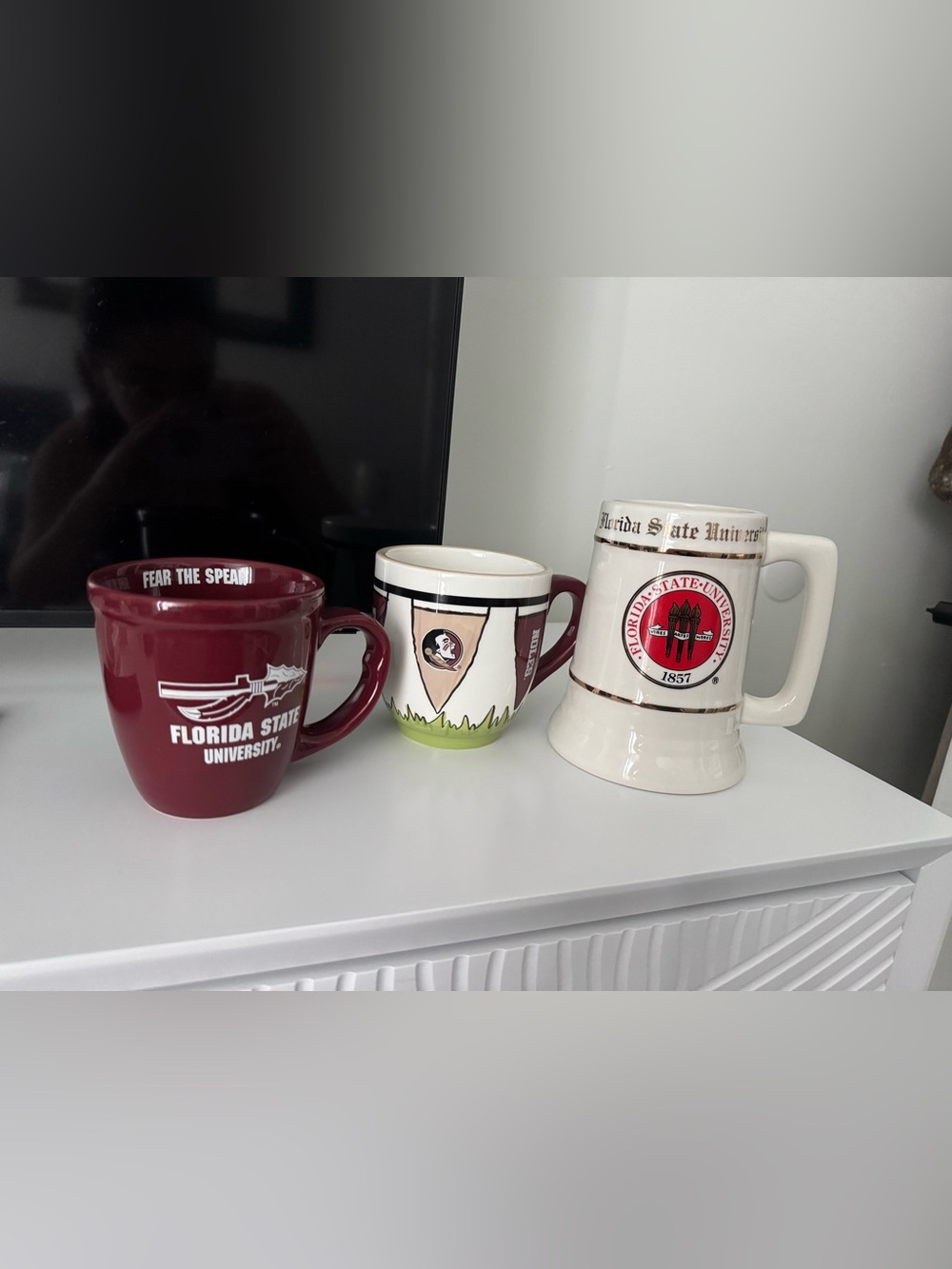 Florida State University Coffee Mugs